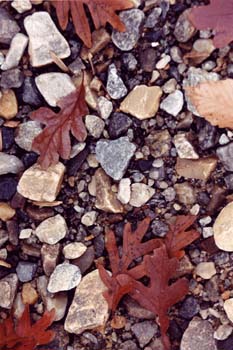 pebbles